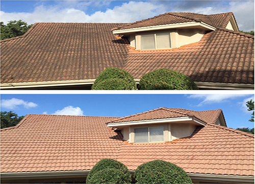 Roof soft wash before and after results